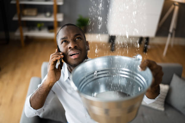Best Professional water damage repair  in Marthasville, MO