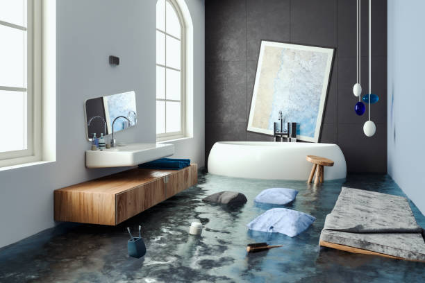 Best Carpet water damage restoration  in Marthasville, MO
