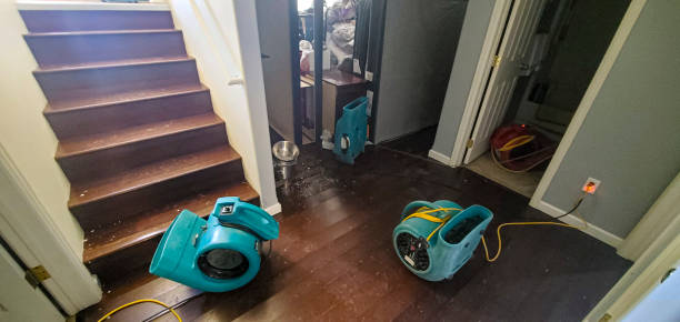 Best 24/7 water damage repair  in Marthasville, MO