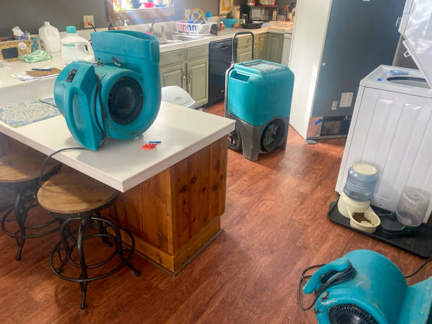 Best Basement water damage restoration  in Marthasville, MO