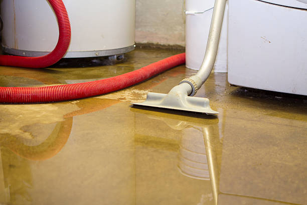 Best Ceiling water damage repair  in Marthasville, MO