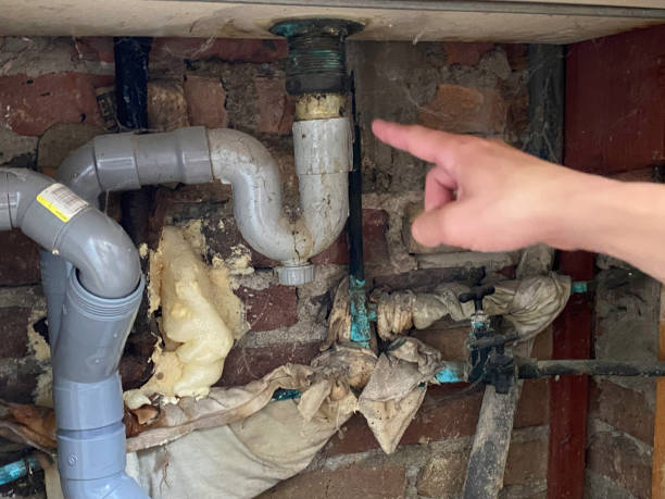 Best Local water damage restoration  in Marthasville, MO